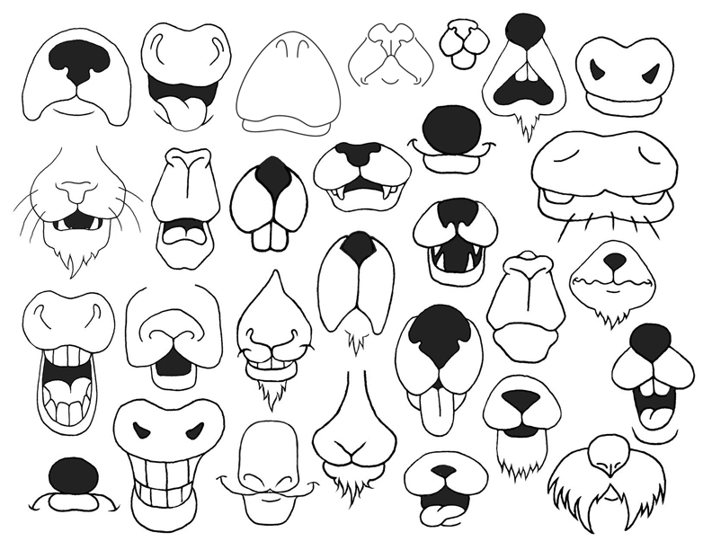 Animal nose and mouths combined